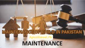 Mother filing maintenance of child in Pakistan at Family Court