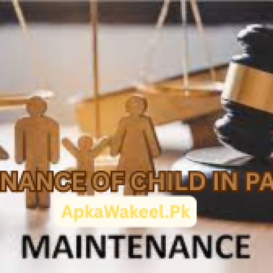 Mother filing maintenance of child in Pakistan at Family Court